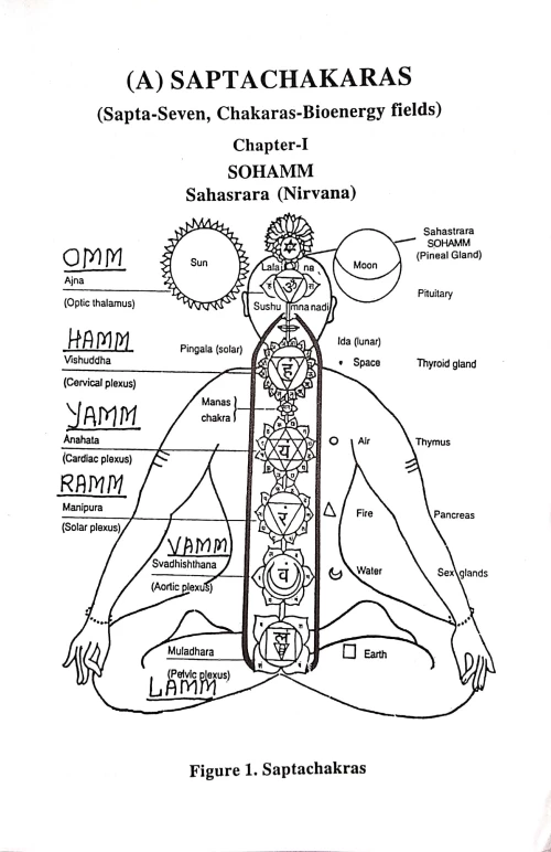 Kundalini Yoga & Shakti (CSBG 82)